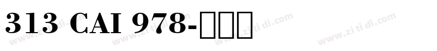 313 CAI 978字体转换